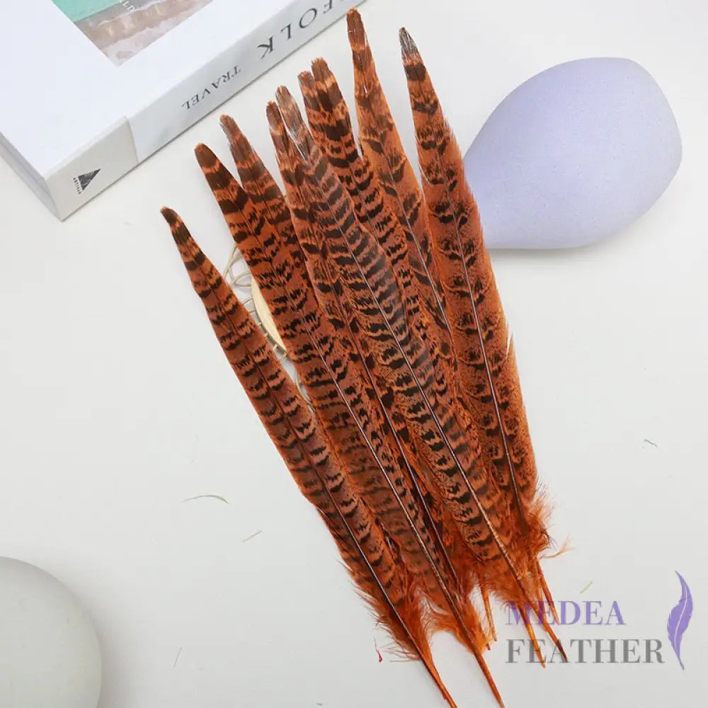 Female Ringneck Pheasant Tails-Pack of 10 SF020 Orange