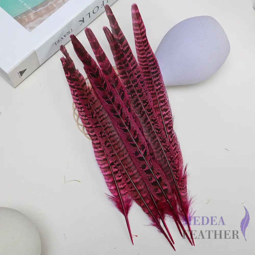 Female Ringneck Pheasant Tails-Pack of 10 SF020 Pink