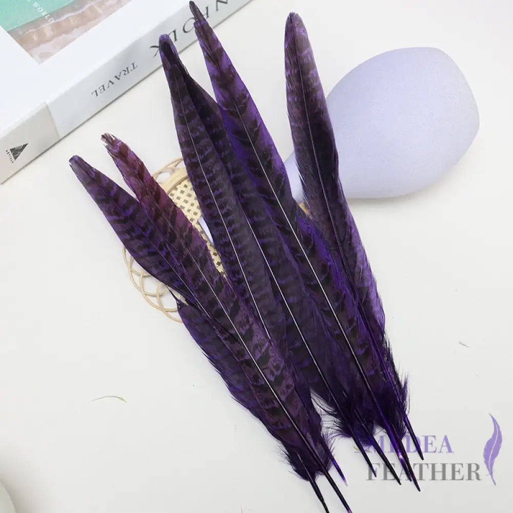 Female Ringneck Pheasant Tails-Pack of 10 SF020 Purple
