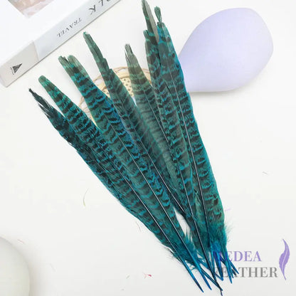 Female Ringneck Pheasant Tails-Pack of 10 SF020 Teal