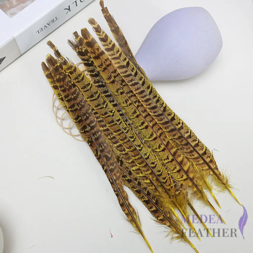 Female Ringneck Pheasant Tails-Pack of 10 SF020 Yellow