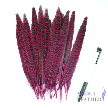 Female Ringneck Pheasant Tails Pink / 10 pieces