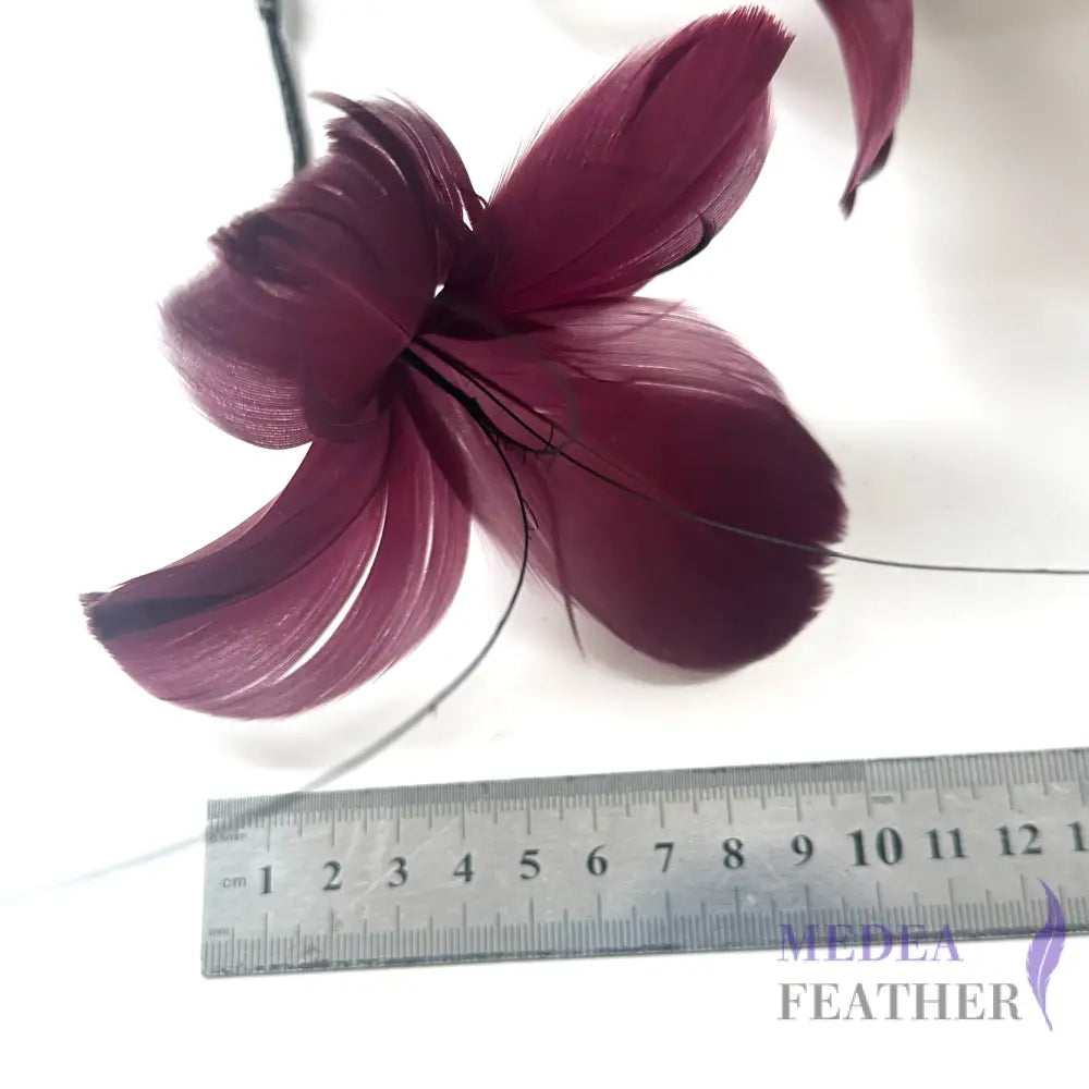 Five Goose Feather Flowers and Long Coque Feather Mount Set DS261029