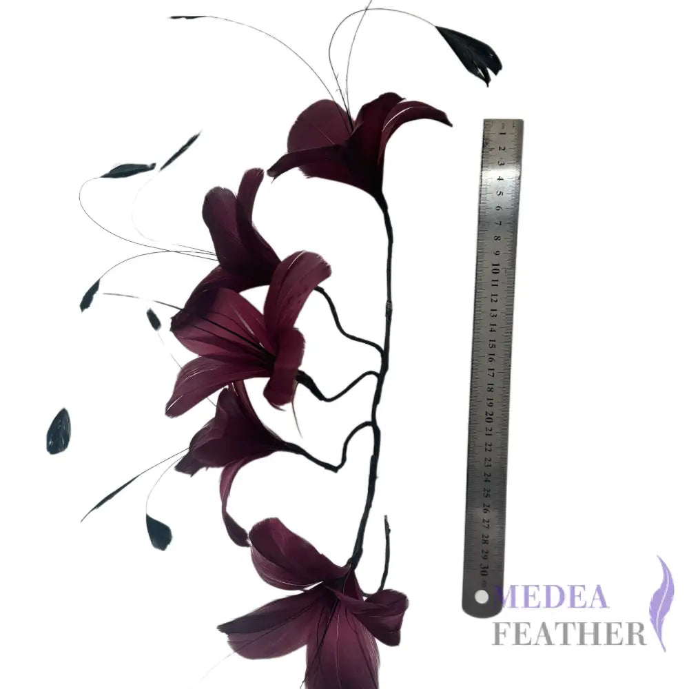 Five Goose Feather Flowers and Long Coque Feather Mount Set DS261029