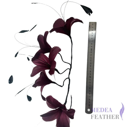 Five Goose Feather Flowers and Long Coque Feather Mount Set DS261029