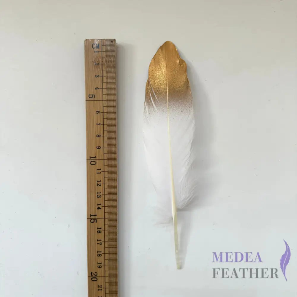 Gold Dipped Goose Feather-Pack of 10