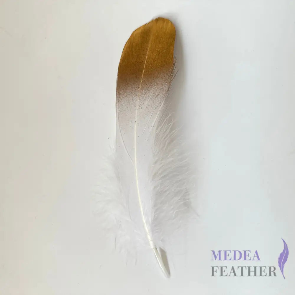 Gold Dipped Goose Feather-Pack of 10