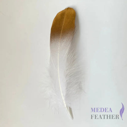 Gold Dipped Goose Feather-Pack of 10