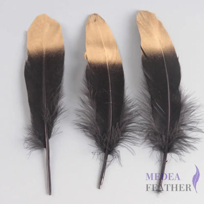 Gold Dipped Goose Feather-Pack of 10 Black + Gold