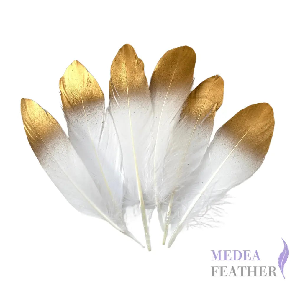 Gold Dipped Goose Feather-Pack of 10 White + Gold