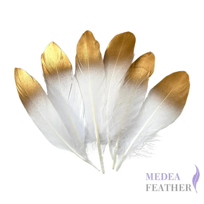Gold Dipped Goose Feather-Pack of 10 White + Gold