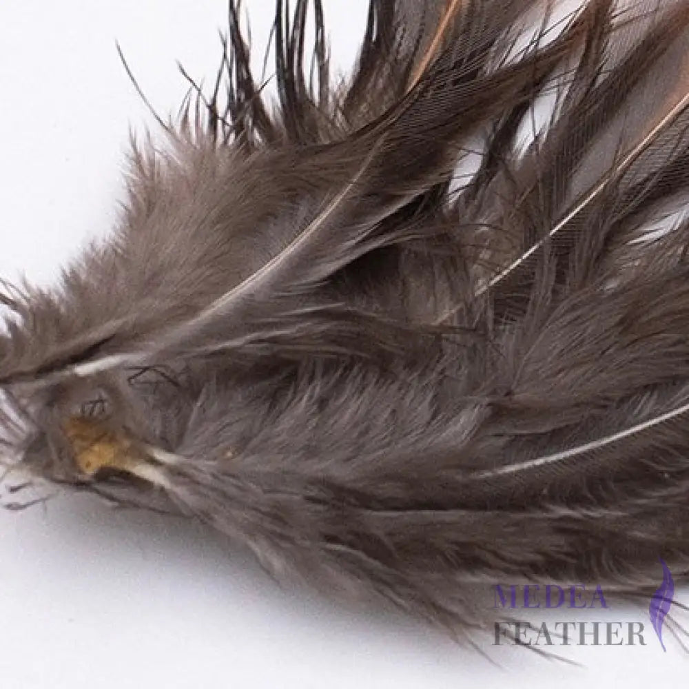 Gold side Plumage Ringneck Pheasant Feather SF031