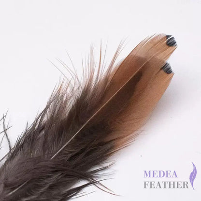 Gold side Plumage Ringneck Pheasant Feather SF031