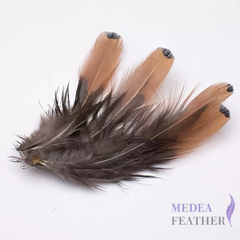 Gold side Plumage Ringneck Pheasant Feather SF031