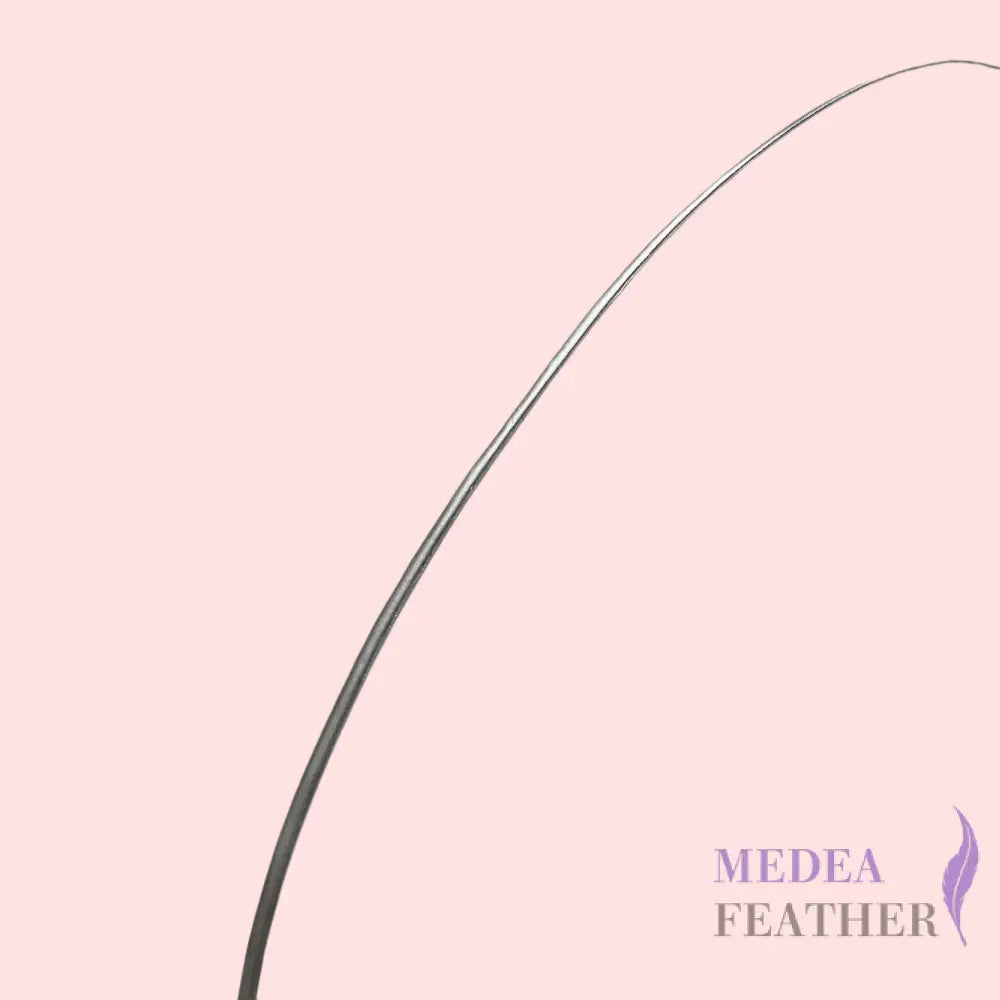 Gold Silver Ostrich Feather Quill - Silver