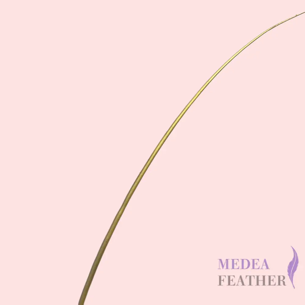 Gold Silver Ostrich Feather Quill - Gold