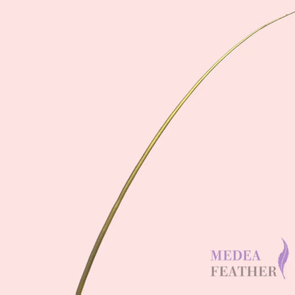 Gold Silver Ostrich Feather Quill - Gold