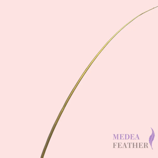 Gold Silver Ostrich Feather Quill - Gold
