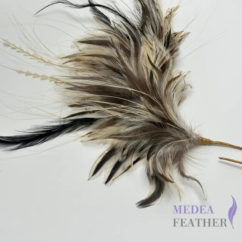 Golden Badger Strung Rooster Neck Hackle Feather Mount Custom - Please add text below