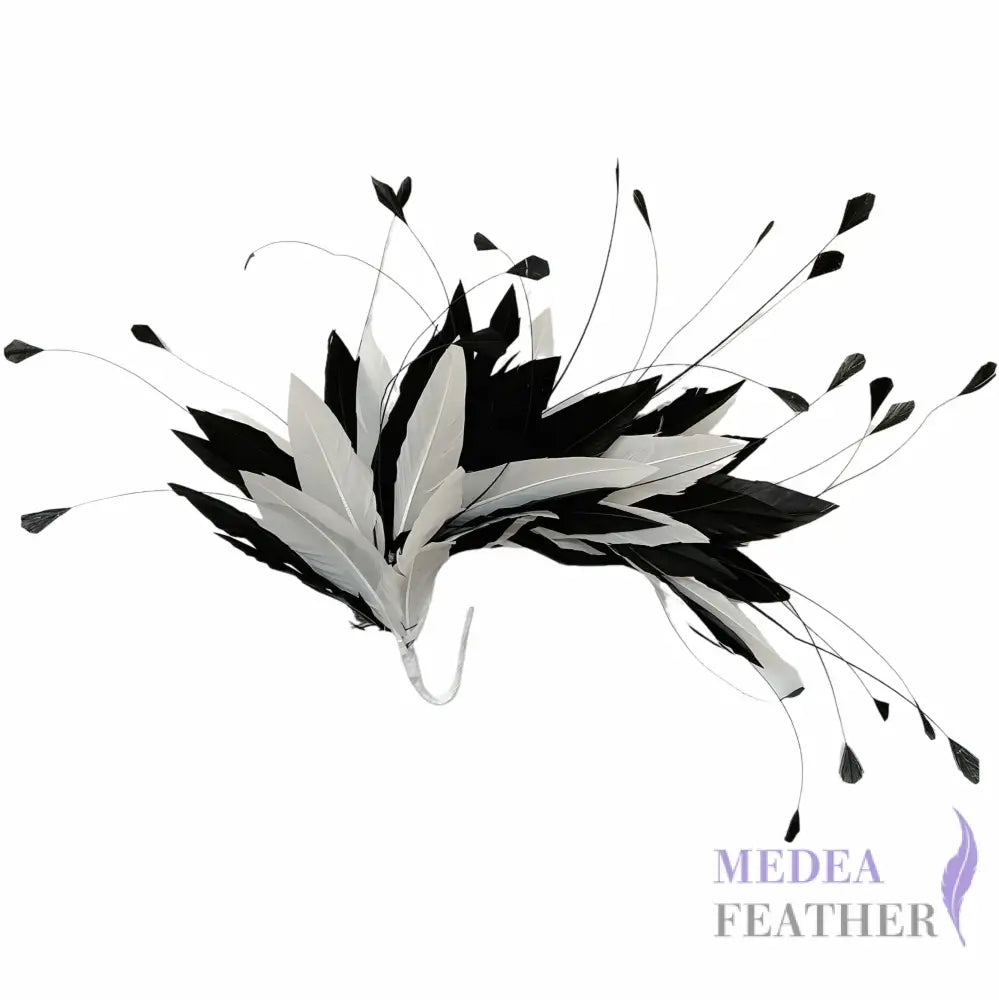 Goose and Coque Feather Mount FM304 - #01 & #03