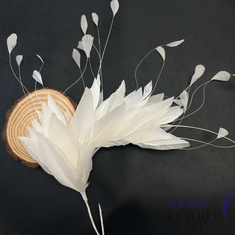 *Sales* Goose and Coque Feather Mount FM304