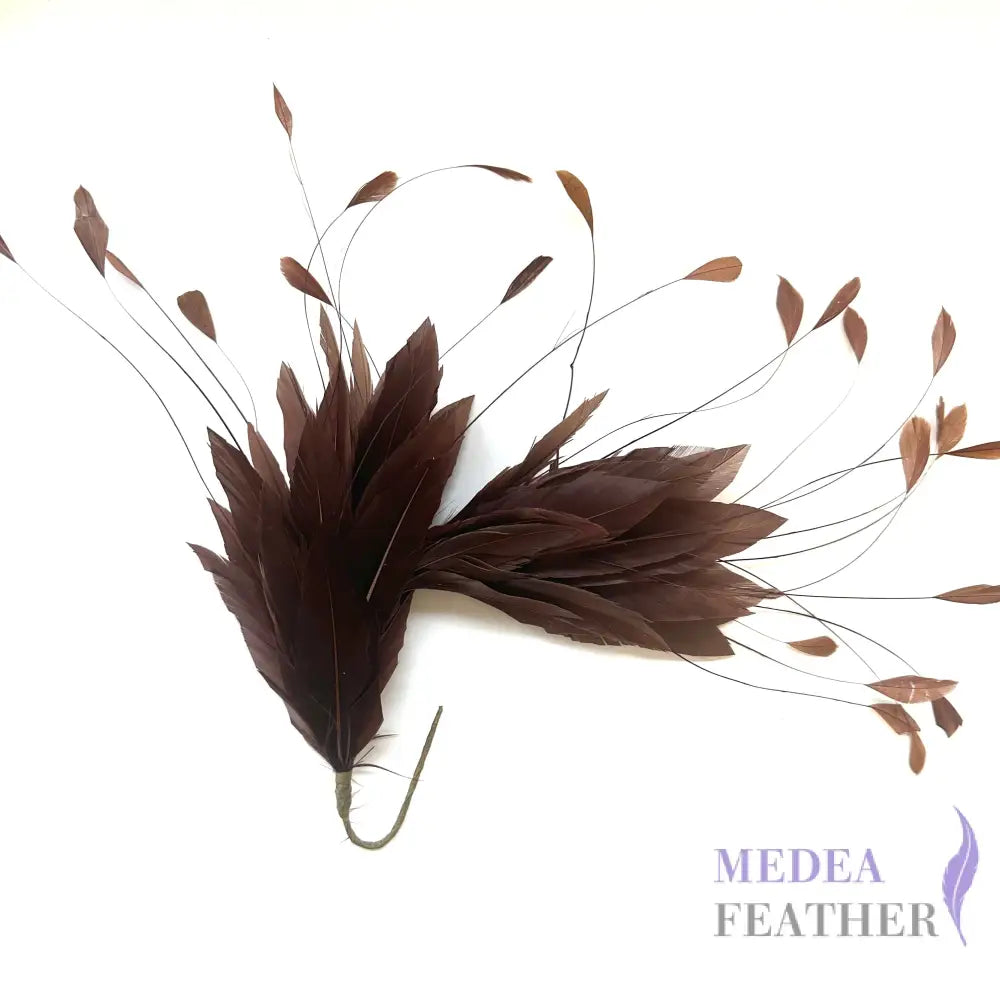 Goose and Coque Feather Mount FM304