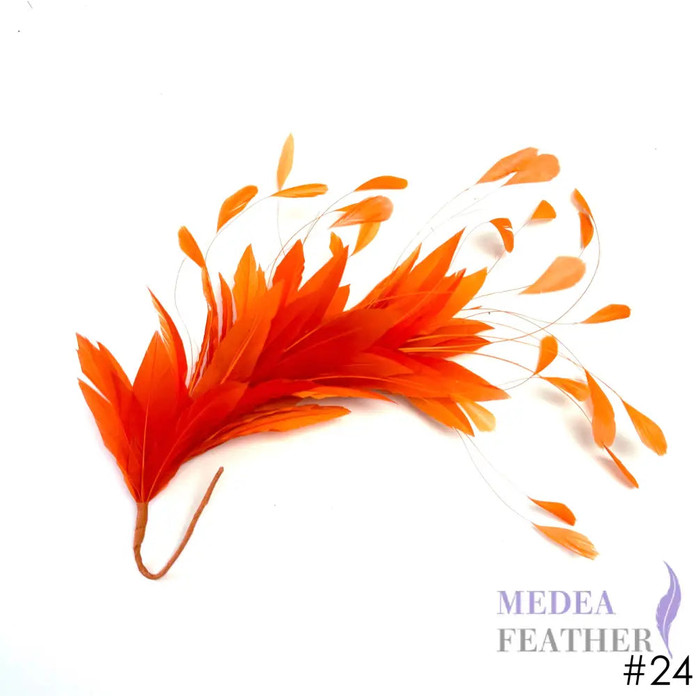 Goose and Coque Feather Mount FM304 #24 carrot