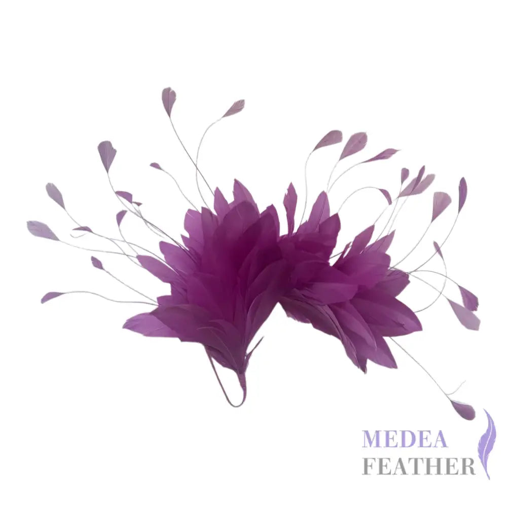 Goose and Coque Feather Mount FM304