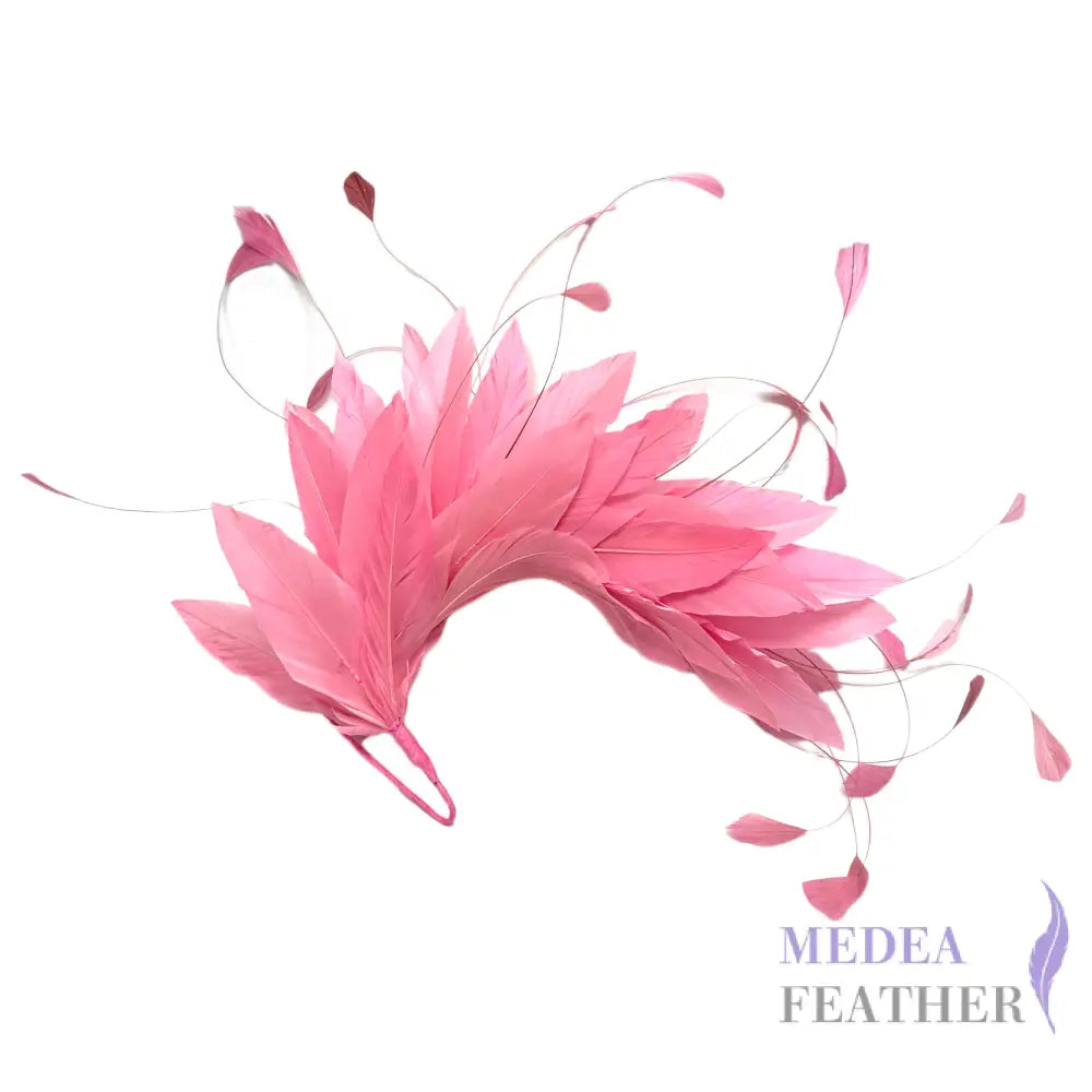 *Sales* Goose and Coque Feather Mount FM304