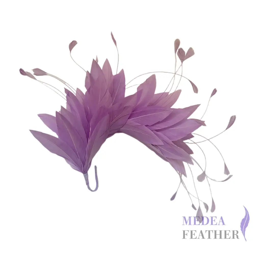 Goose and Coque Feather Mount FM304 #53 lavendula