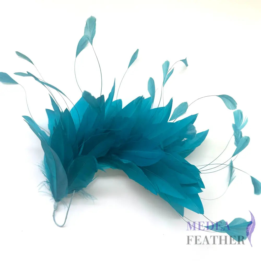 Goose and Coque Feather Mount FM304