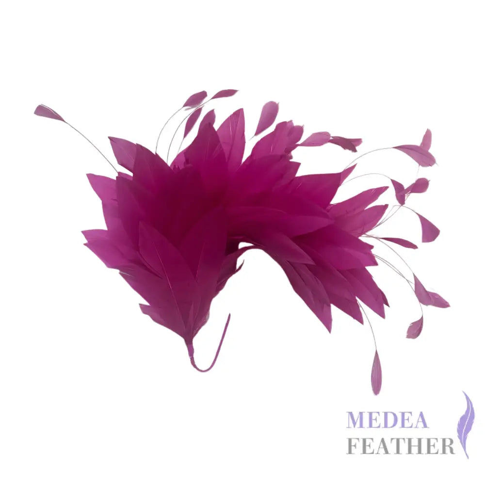 Goose and Coque Feather Mount FM304