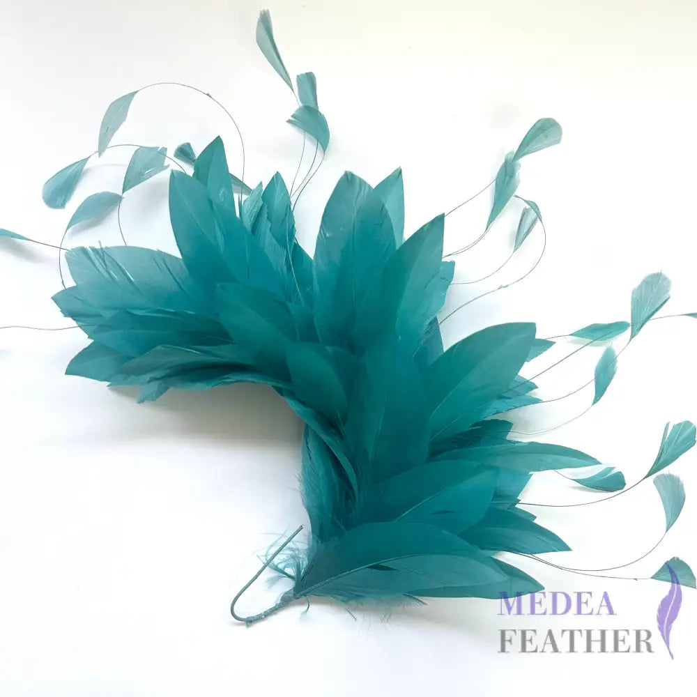 Goose and Coque Feather Mount FM304
