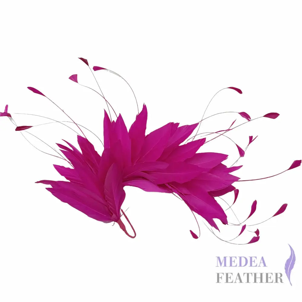 Goose and Coque Feather Mount FM304