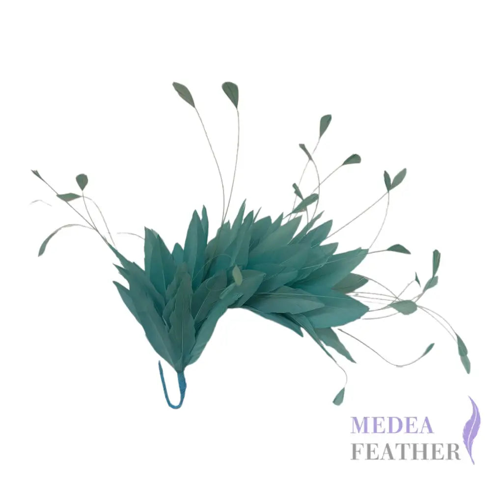 Goose and Coque Feather Mount FM304 Duck egg