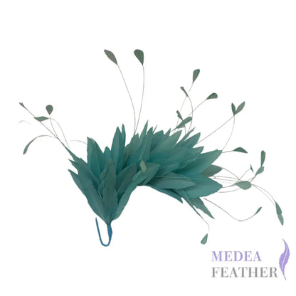 Goose and Coque Feather Mount FM304 Duck egg