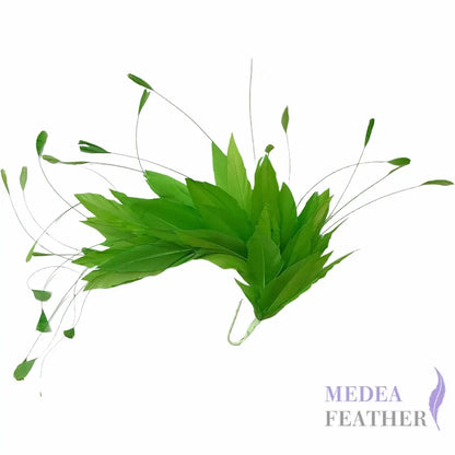 Goose and Coque Feather Mount FM304 - light green