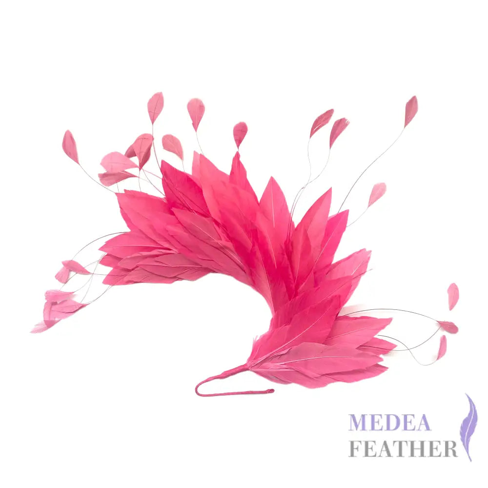 Goose and Coque Feather Mount FM304 Pink