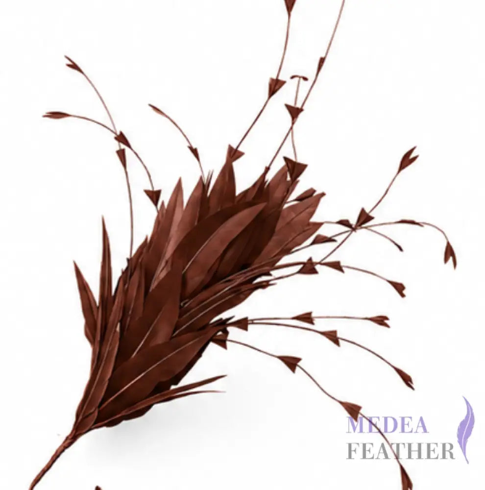 Goose and Long Trimmed Coque Feather Mount FM514 - #06 Brunette