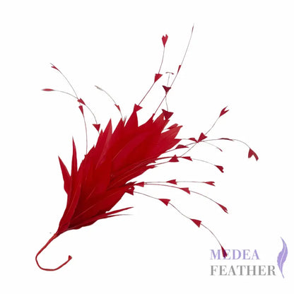 Goose and Long Trimmed Coque Feather Mount FM514