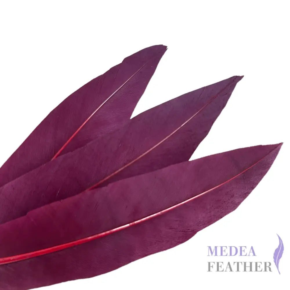 Goose and Long Trimmed Coque Feather Mount FM514 - #35 raspberry radiance