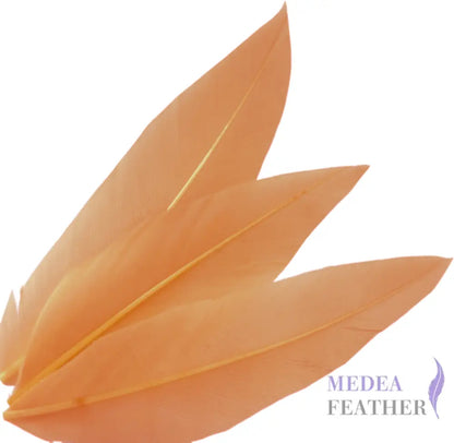 Goose and Long Trimmed Coque Feather Mount FM514 - #48 peach
