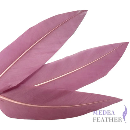 Goose and Long Trimmed Coque Feather Mount FM514 - #61 meadow mauve