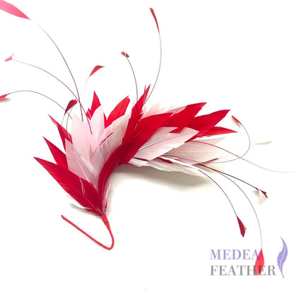 Goose & Coque Feather Hat Mount for Millinery & Fascinator Making - FM304 - #02 & #22