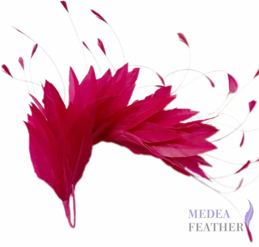 Goose & Coque Feather Hat Mount for Millinery & Fascinator Making - FM304 - #18 Baton rouge