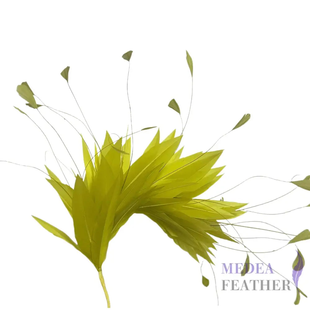 Goose & Coque Feather Hat Mount for Millinery & Fascinator Making - FM304 - #57 cress green