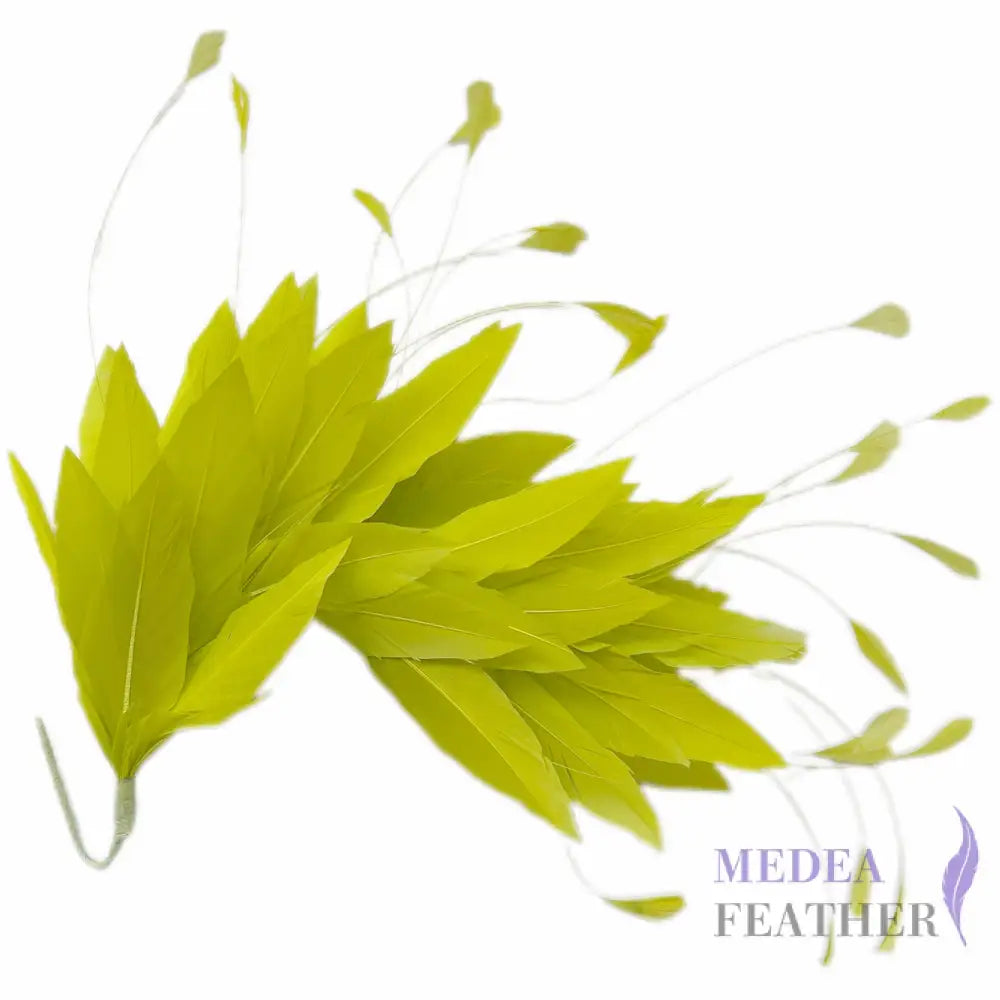 Goose & Coque Feather Hat Mount for Millinery & Fascinator Making - FM304 - #59 wild green