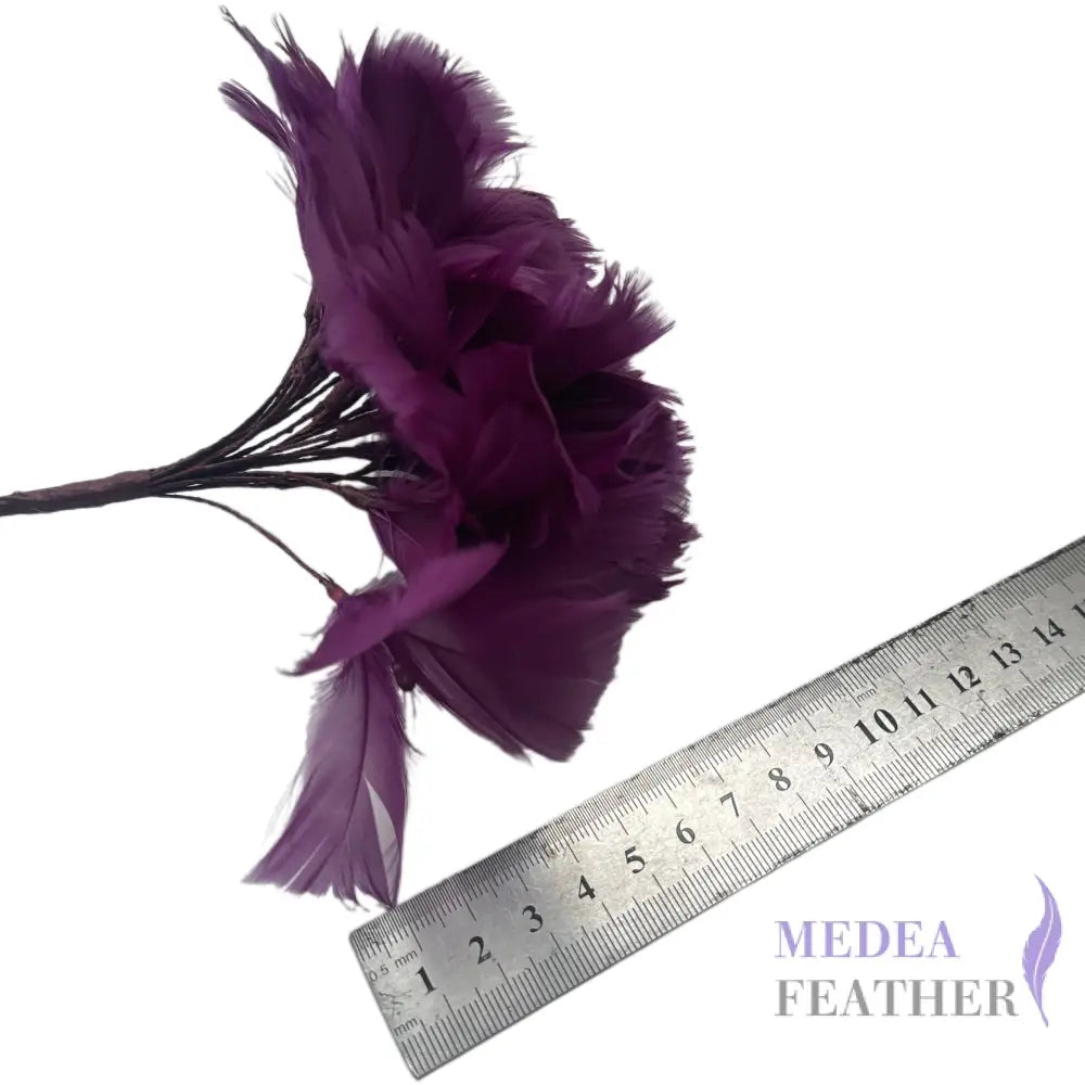 Goose Feather Bundle Mount DS260522