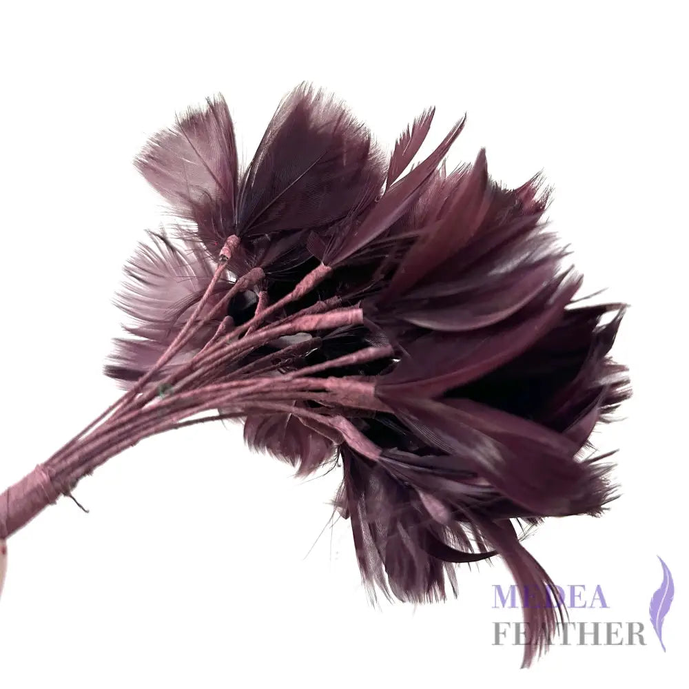 Goose Feather Bundle Mount DS260522