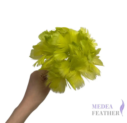 Goose Feather Bundle Mount DS260522 - #59 wild lime